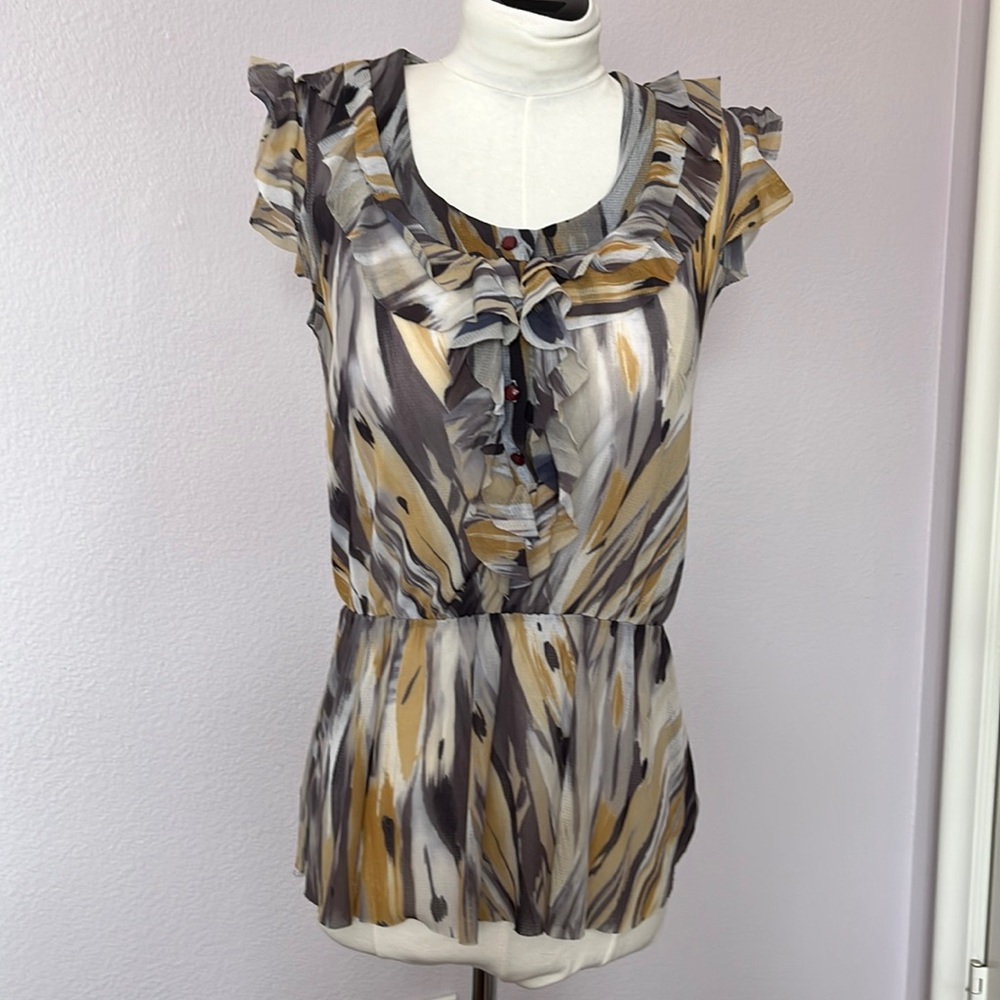 Beautiful Sheer Ruffle Blouse